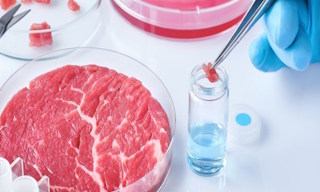 Лабораторный анализ пищевых продуктов по СанПиН в Лесне в октябре
