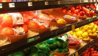 Сертификация пищевой продукции в Лесне – цена от 10395 руб. | ПромМир-Лсн